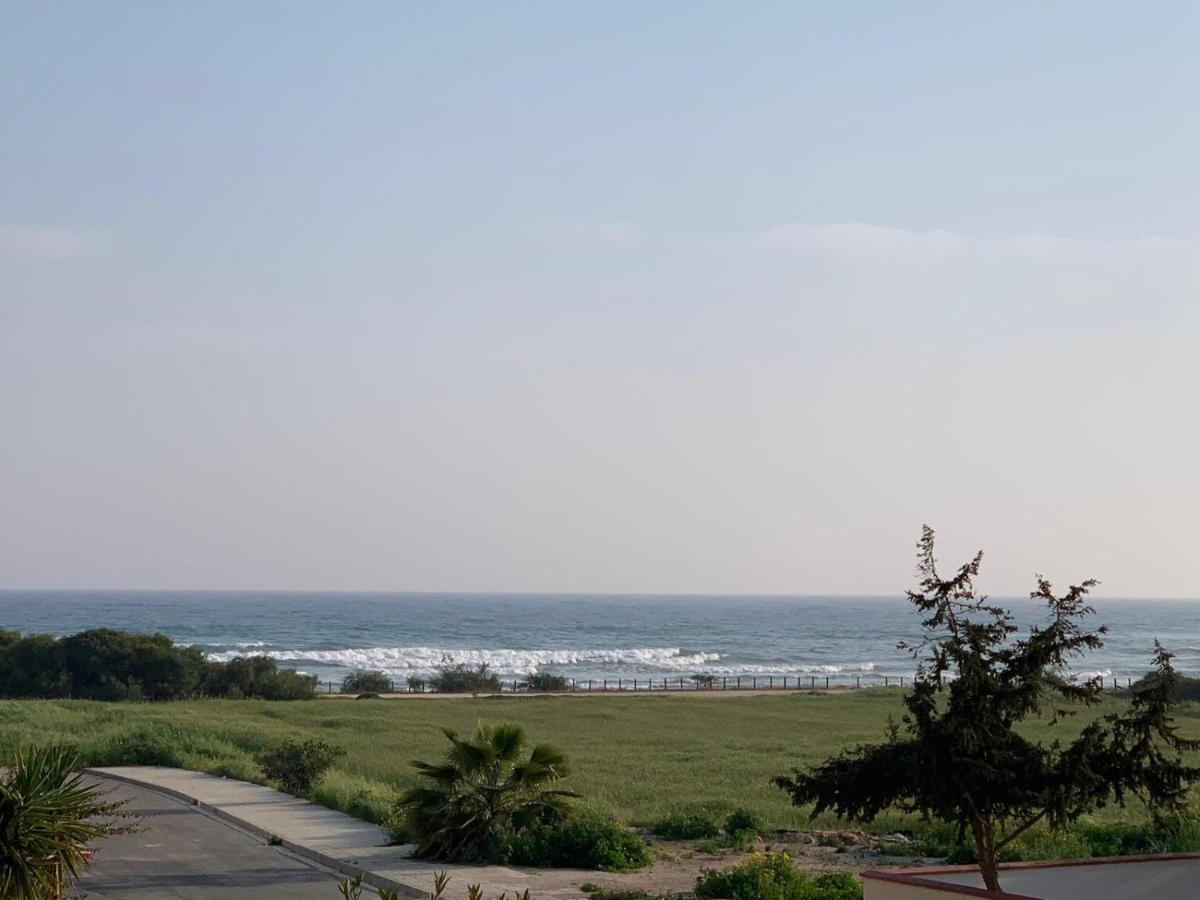 Moonlight Sea View Villa 아이아 나파 외부 사진